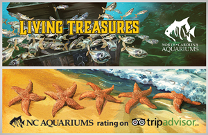 Trip Advisor and Living Treasures Billboard Campaign